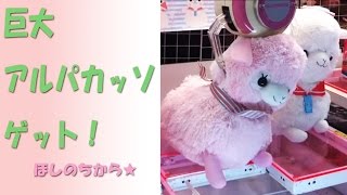 巨大アルパカをゲット（UFOキャッチャー）Claw Machine Play
