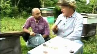 ფუტკრის პროდუქტები - Cveni Ferma 02 - Mefutkreoba Part 1