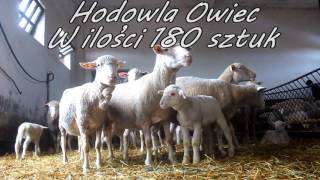 Ich Troje... czyli NOWY NABYTEK i informacje o GR Skoneczni :)