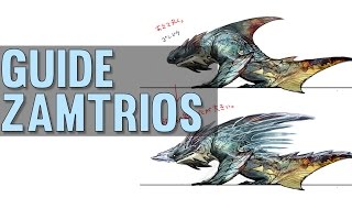 ►GUIDE ZAMTRIOS◄ Monster Hunter 4 Ultimate FR HD