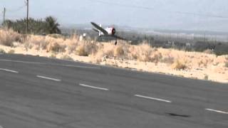 Dynam RC P-47D from Nitroplanes.com