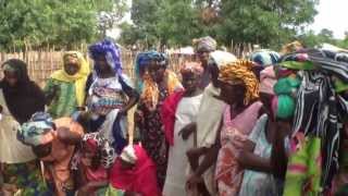 Exchanging Rare Rice Varieties in Gambia