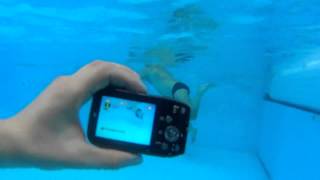 An Underwater Review of Sony's Water-Proof Cyber-Shot TF1 Camera