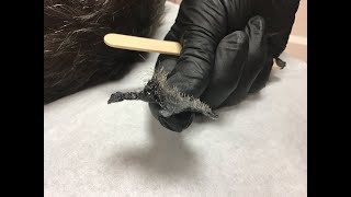 Outback Organics Male Grooming