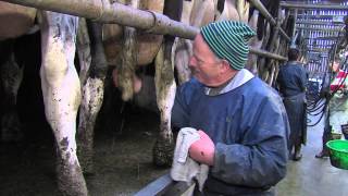 Innov'Action 2015 en Finistère à Milizac