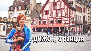 Дижон, Франция / Woof travel — путешествия с собакой на машине