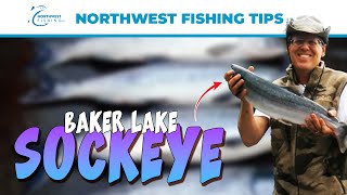 Baker Lake Sockeye 101