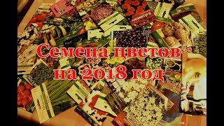 Цветы для сада не требующие ухода. Обзор семян на 2018 год