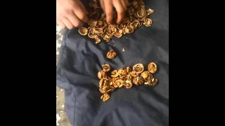 vind aparat de stricat nuci detali la numarul 078648804 Dima