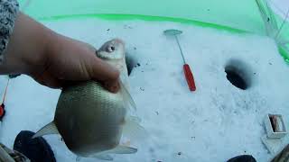 Ловля ЛЕЩА ЗИМОЙ. Сказочная рыбалка 2020! #OmskFish
