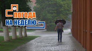 Жарко, но дождливо! Погода на неделю / Прогноз погоды с 22 по 28 августа 2022 / Плюс-минус
