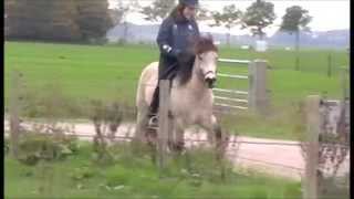 Jón van de Blekenbrink NL2009100160
