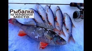 зимняя рыбалка на неизвестном месте. Ловля на мормышку плотвы и окуня с прикормкой.