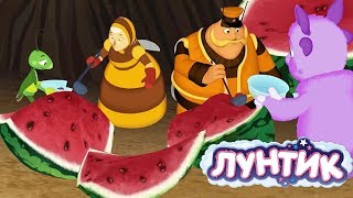 Лунтик | День арбуза ??? Сборник мультфильмов для детей