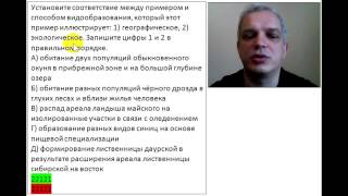 Географическое или экологическое видообразование