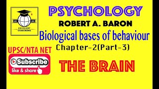 #Psychology||#Robert A.Baron||#Biological bases of behaviour||#The Brain||#Chapter 2#Part 3