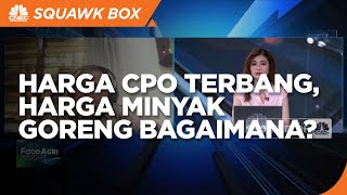 Harga CPO Terbang, GIMNI Harap Harga Minyak Goreng Dkk Sesuai Mekanisme Pasar