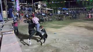 Lo Mejor De La Corrida De Promesas Timucuy 2018