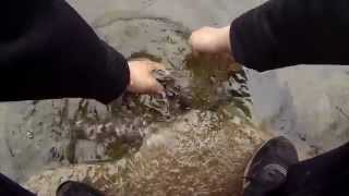 Trout Fishing at the Stony Creek in Norristown (Montgomery County, PA)