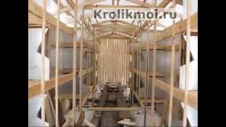 Клетки для кроликов из поликорбоната 2