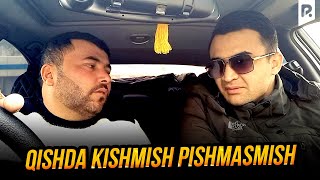 Zamonaviy bojalar - Qishda kishmish pishmasmish