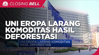 Uni Eropa Larang Komoditas Hasil Deforestasi