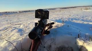СУПЕР Охота на Лису с Манком в Январе!Мастер класс!!!