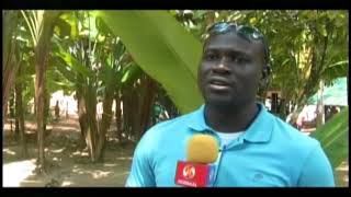 STVS JOURNAAL 04 mrt 2018