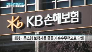 [단독] '특전사' 보험사기에 꼼짝없이 당한 보험사들…피해 규모 '눈덩이'