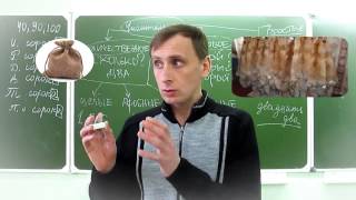 Числительное