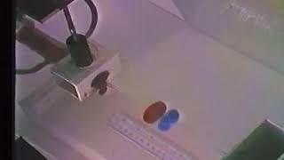 Столкновение тороидальных вихрей, Vortex Ring Collision