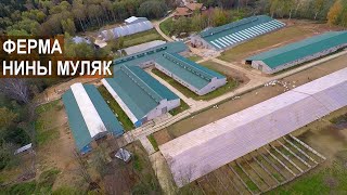 ФЕРМА ОВЕЦ И КОЗ. Агротуристический центр по Ярославскому шоссе