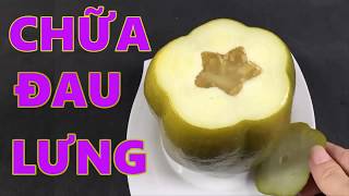 Bật mí cách chữa đau lưng, thoát vị đĩa đệm nhanh chóng và hiệu quả bằng đu đủ [cách chữa đau lưng]