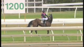 Shukriya - Win at Ipswich 12th November 14'