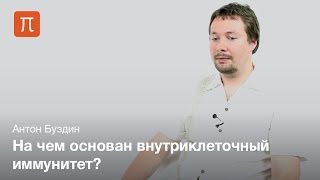 Антон Буздин - Короткие РНК как основа внутриклеточного иммунитета