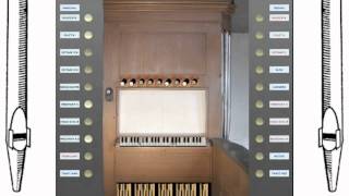 Fuge in d-minor a 3 from the WTC I on organ