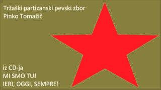 TPPZ Pinko Tomažič - Venček