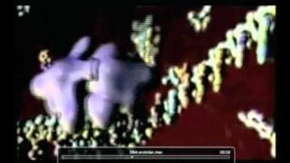 DNA kopyalamasında enzimler muhteşem kopyalama yapıyor!