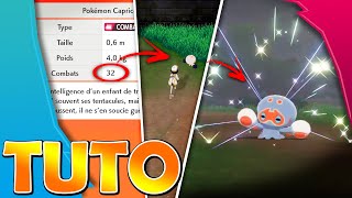 Obtenir des SHINY avec la méthode des K.O.✨~Tutoriel Pokémon Épée et Bouclier⚔️?️