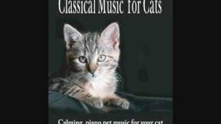 Classical Music for Cats - Calming piano pet music for your cat
