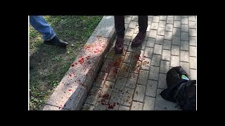 Во время акции 5 мая в Москве сломали нос мужчине, который сфотографировал "казака"