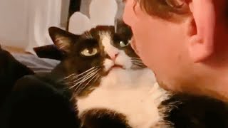 Woman accuses her cat of acting like a dog