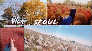 VLOG SEOUL！想看紅葉芒草要去這裡！挑戰291級樓梯的「天空公園」觀賞紅葉必去景點「晶德宮」