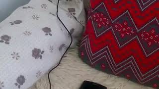 homtom zoji z7 not working
