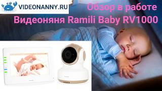 Видеоняня Ramili baby RV1000. Видео обзор работы по собственной цифровой связи.