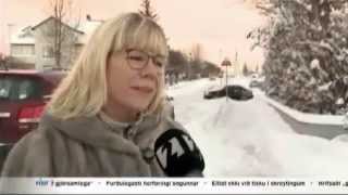 Vigdís Hauksdóttir beitt andlegu ofbeldi?!