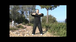 10 Min. Daily Standing Meditation (Zhan Zhuang Qigong) Follow-Along
