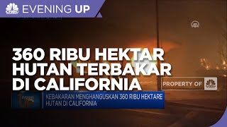 Kebakaran Menghanguskan 360 Ribu Hektare Hutan Di California