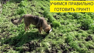 ОСЕННЯЯ ПОДГОТОВКА ГРУНТА - УСИЛЕННАЯ И ОБЛЕГЧЕННАЯ. 