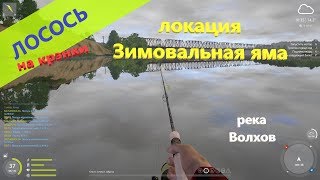 Русская рыбалка 4 - река Волхов - Лосось на зимовальной яме